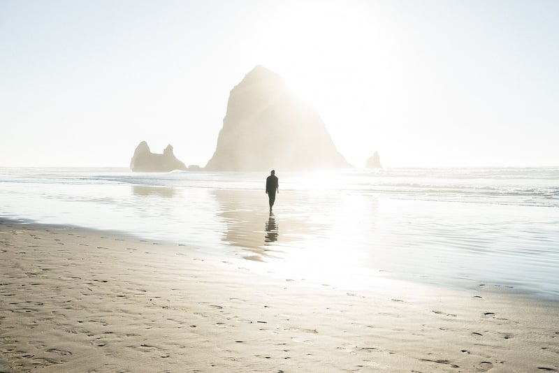 Nature Mindfulness Walks